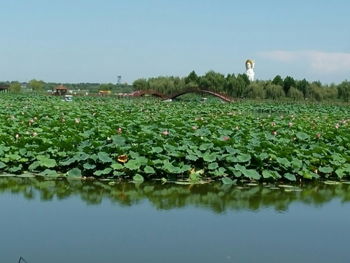 ��������5