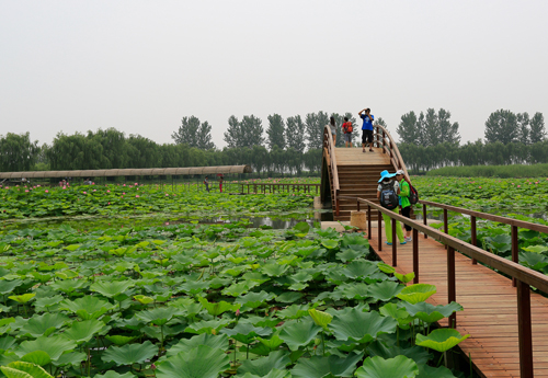 ��������6