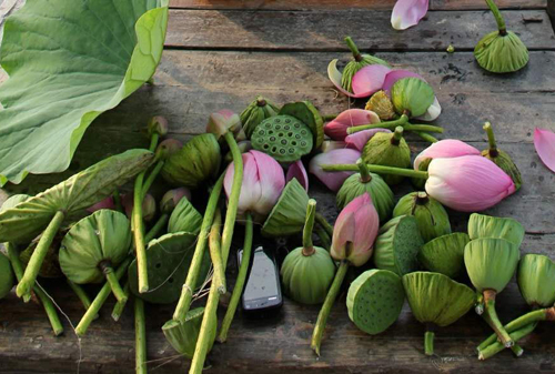 ��������